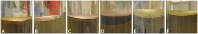 Impaired Short-Term Functioning of a Benthic Community from a Deep Norwegian Fjord Following Deposition of Mine Tailings and Sediments